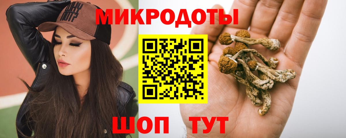 Артёмовский  Псилоцибиновые грибы Psilocybe  Вход с VPN 